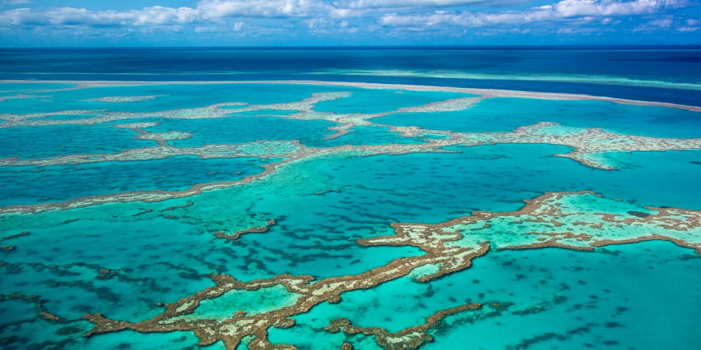 Grande Barrière de Corail d’Australie