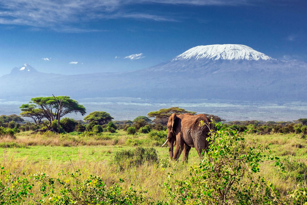 kilimandjaro tanzania