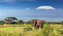 kilimandjaro tanzania